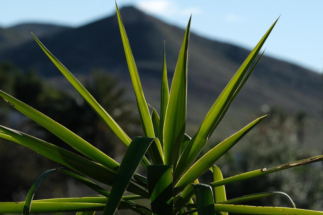 Апартаменти La Posidonia Родалькілар Екстер'єр фото